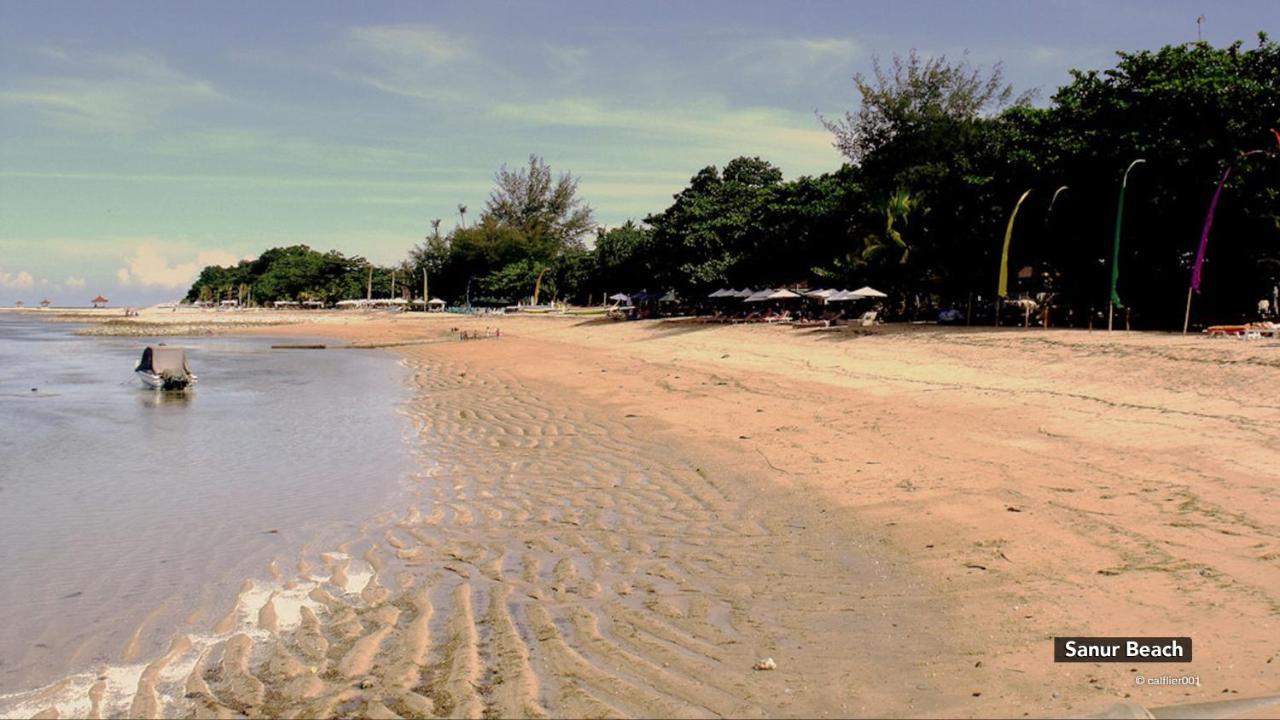 Zen Villa Sanur Art Extérieur photo